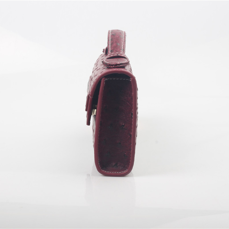 Новые женские сумки из Дубая с – обзор и цена Women Bags Dubai