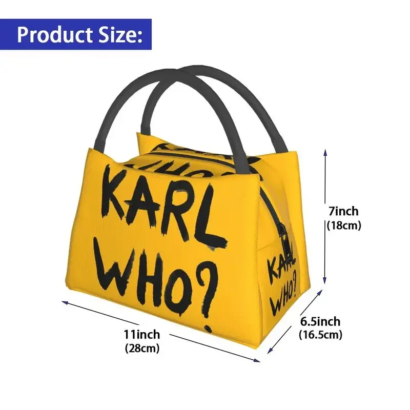 Термоизолированные сумки для о – обзор и цена Women'S Karl Bags